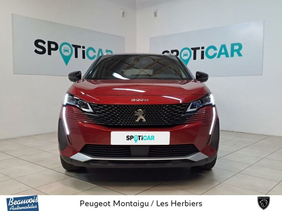 PEUGEOT3008VO0218353599.jpg