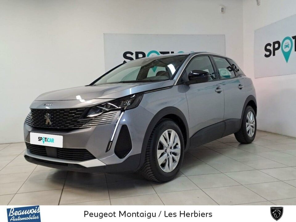 PEUGEOT3008VO0218603433.jpg