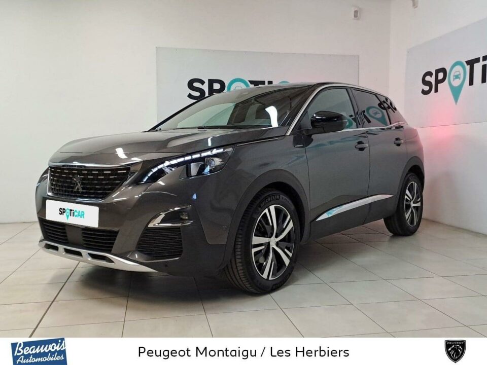 PEUGEOT3008VO0218692772.jpg