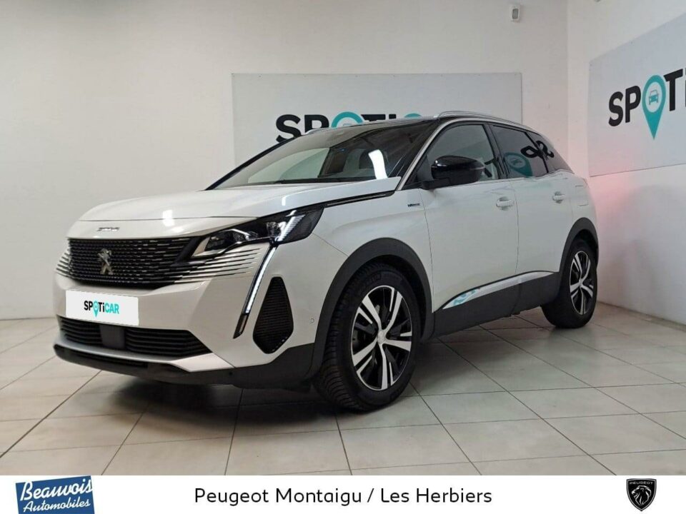 PEUGEOT3008VO0218763517.jpg