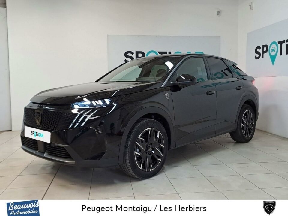PEUGEOT3008VO0218973451.jpg