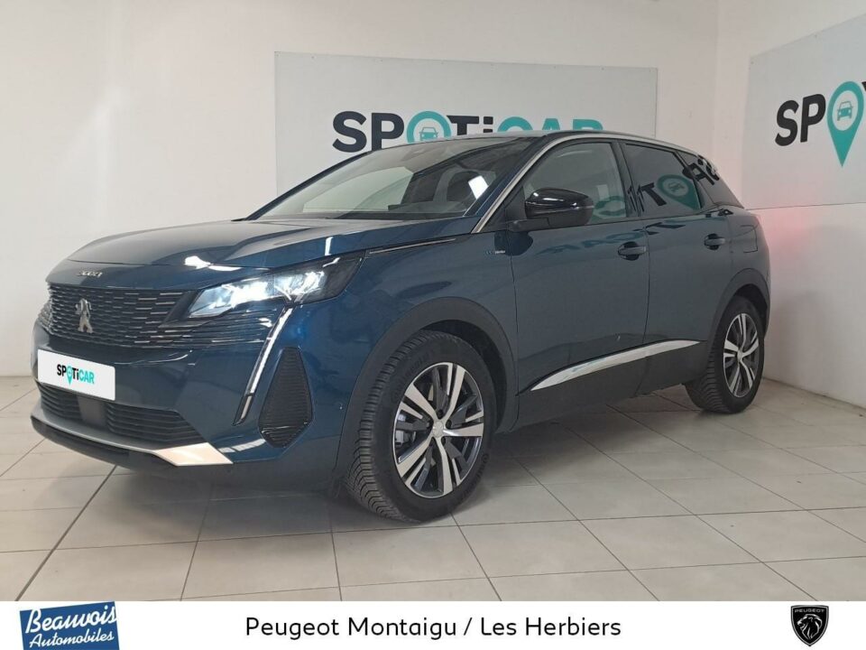 PEUGEOT3008VO0219203167.jpg