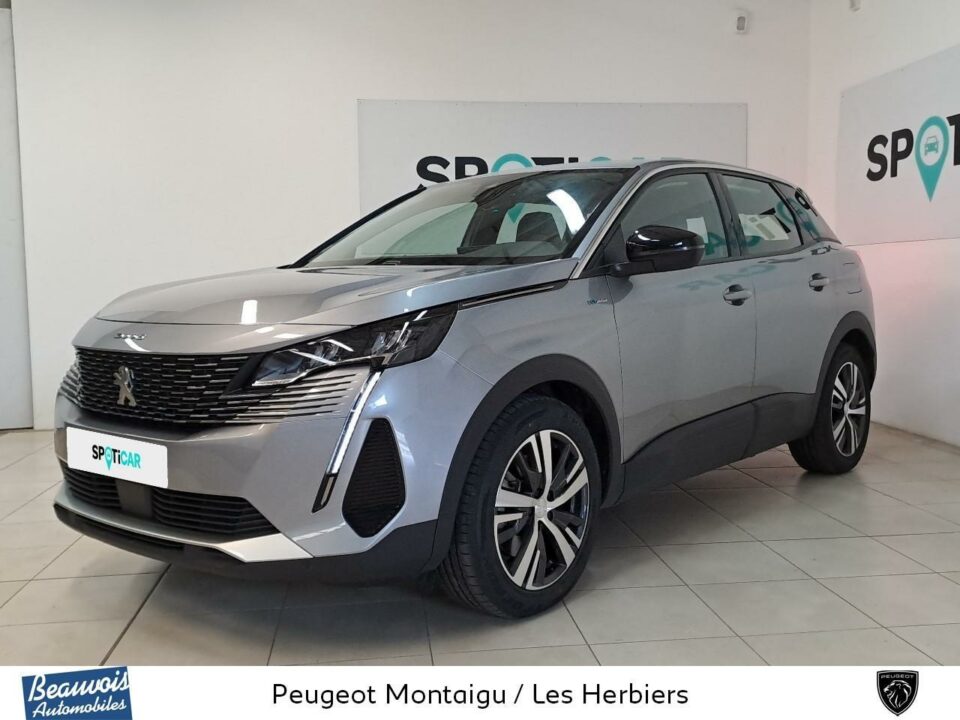 PEUGEOT3008VO0219283438.jpg