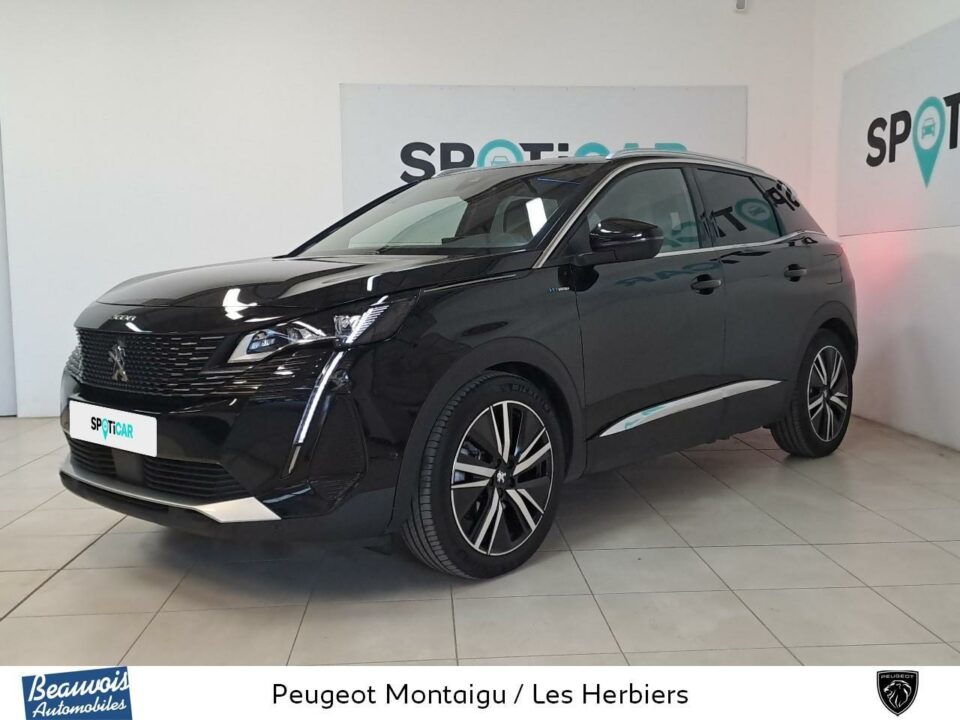 PEUGEOT3008VO0219353358.jpg