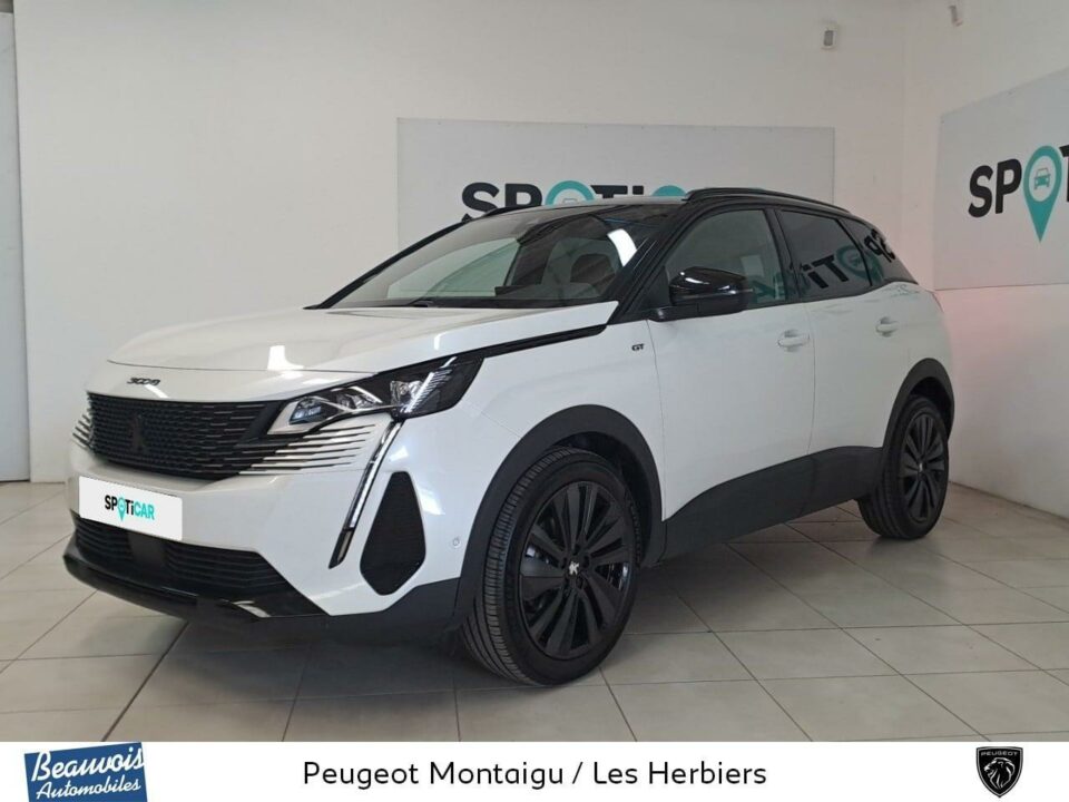 PEUGEOT3008VO0219423093.jpg