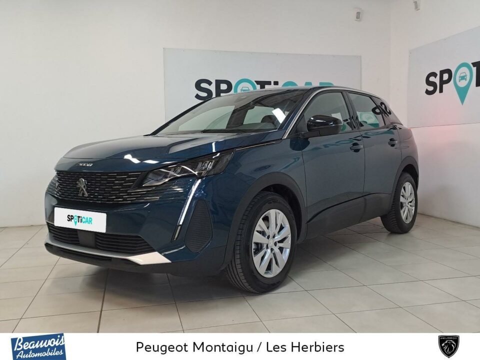 PEUGEOT3008VO0219623323.jpg