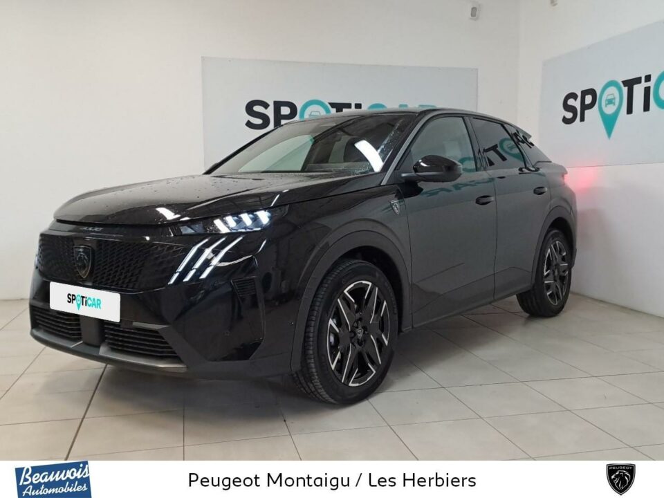 PEUGEOT3008VO0219683562.jpg
