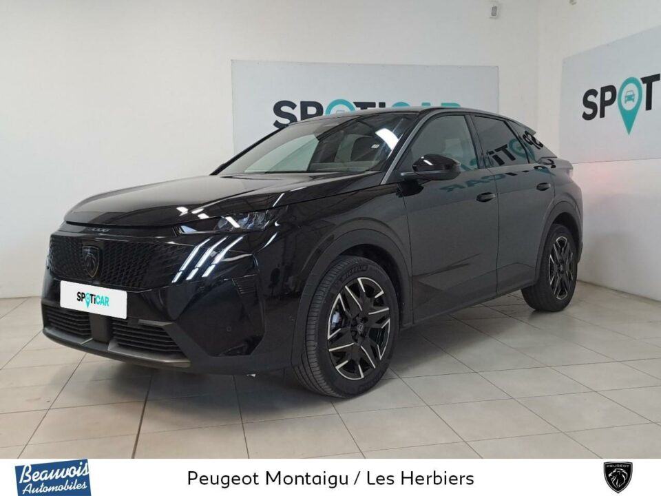 PEUGEOT3008VO0219943556.jpg