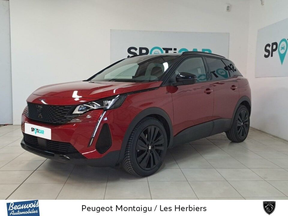 PEUGEOT3008VO0220193661.jpg