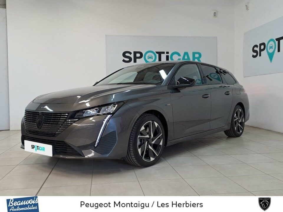 PEUGEOT308 SWVO0220773672.jpg