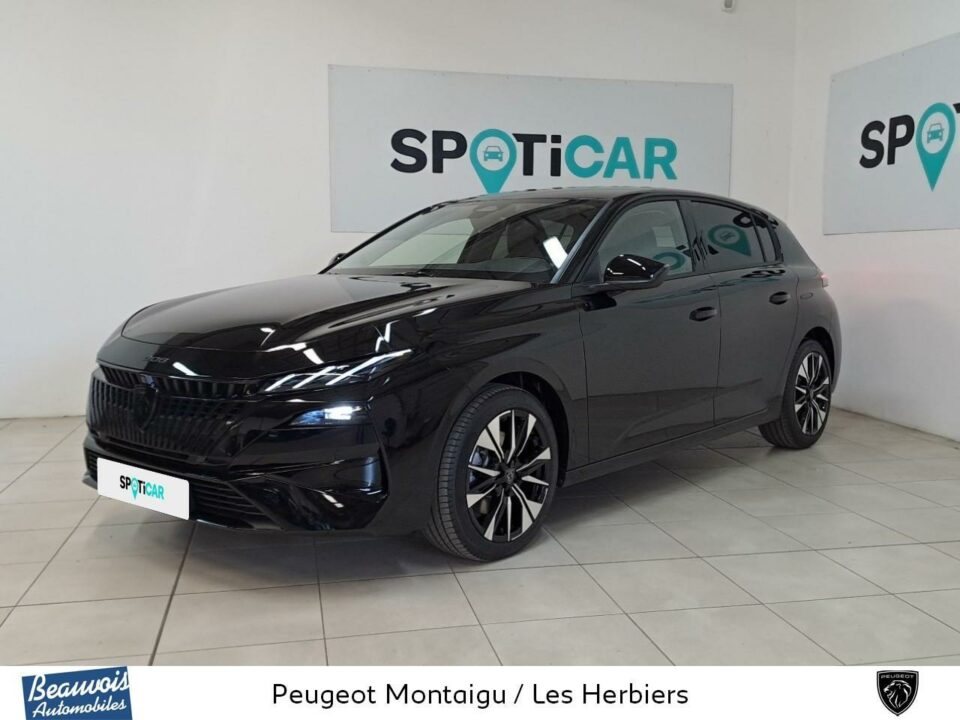 PEUGEOT308VD008677119.jpg