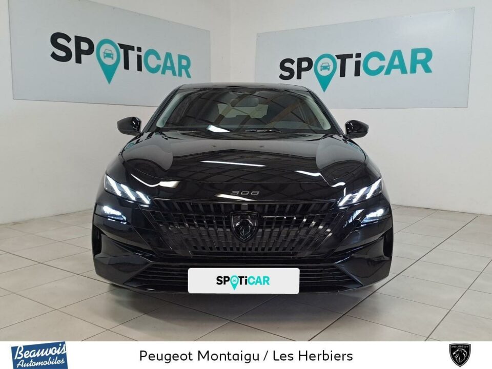 PEUGEOT308VD00869263.jpg