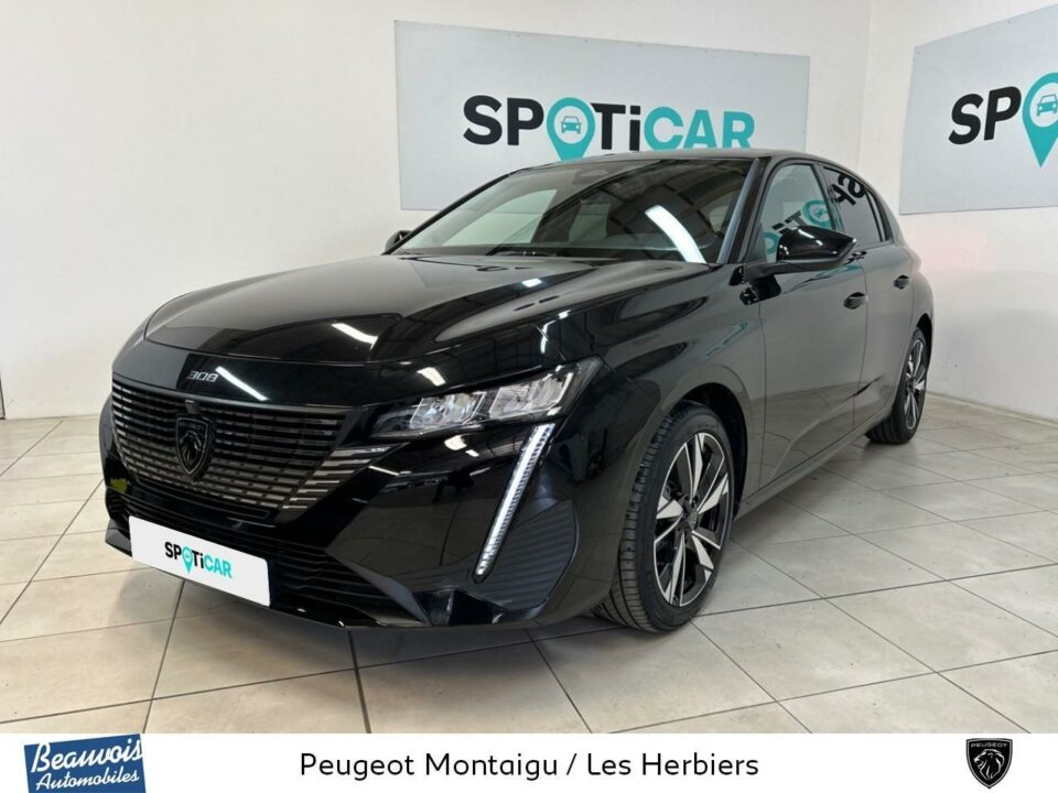 PEUGEOT308VO0214321915.jpg