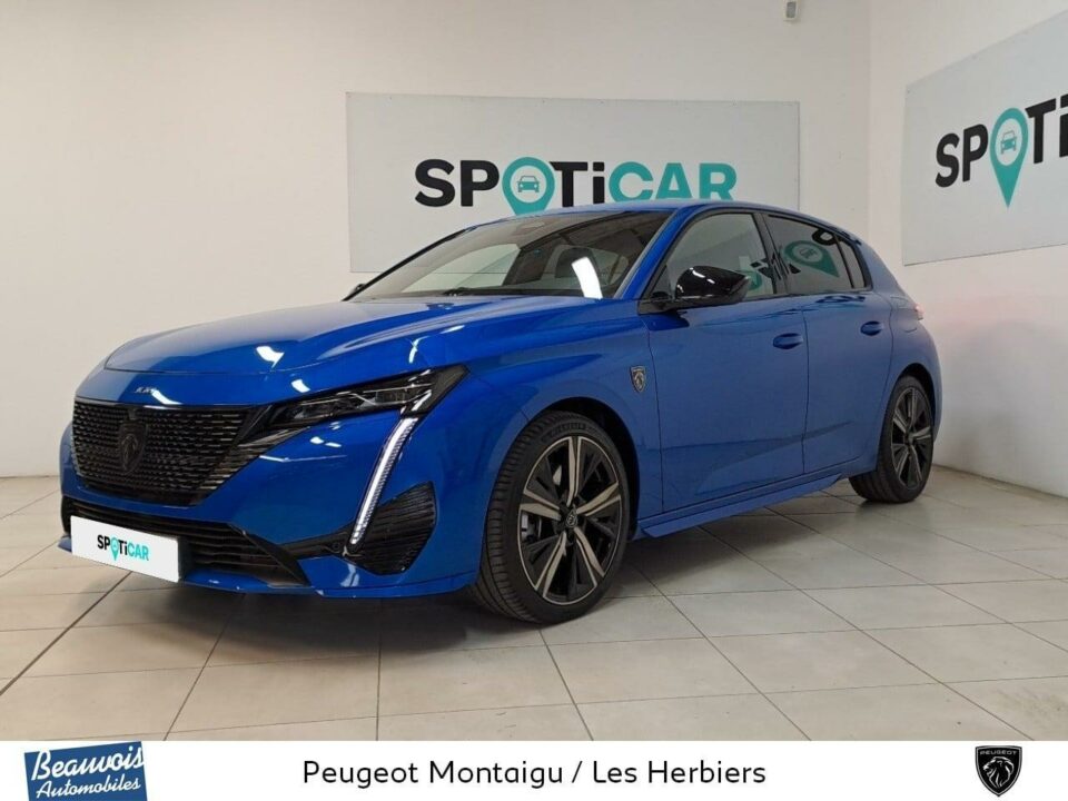PEUGEOT308VO0220363721.jpg