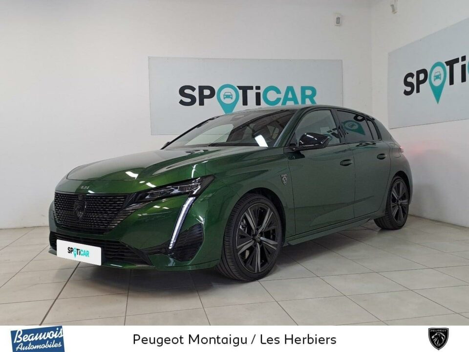 PEUGEOT308VO0220783810.jpg
