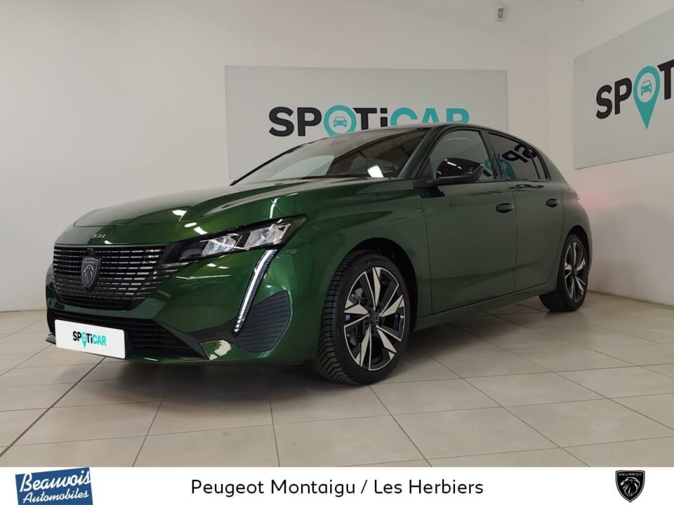 PEUGEOT308VO0221123914.jpg
