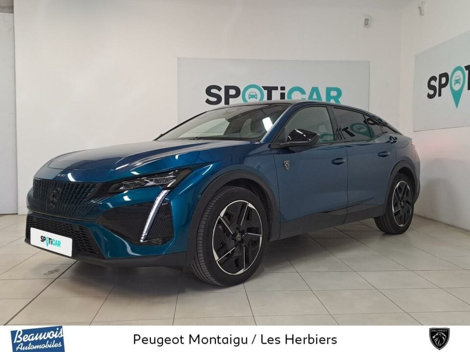 PEUGEOT408VO0220393745.jpg