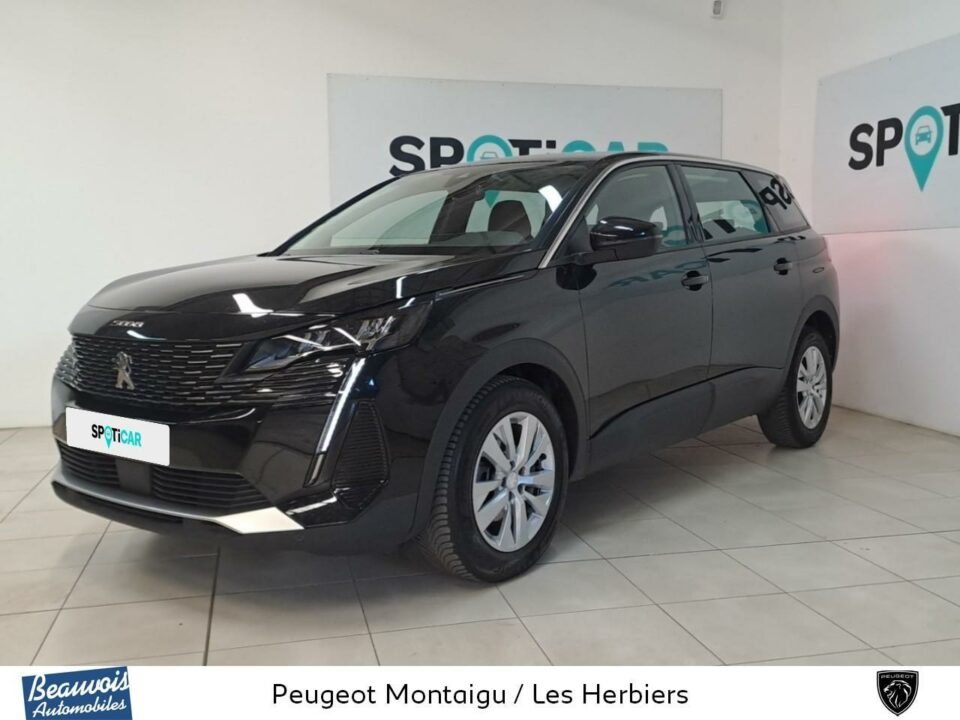 PEUGEOT5008 BUSINESSVO0219233393.jpg