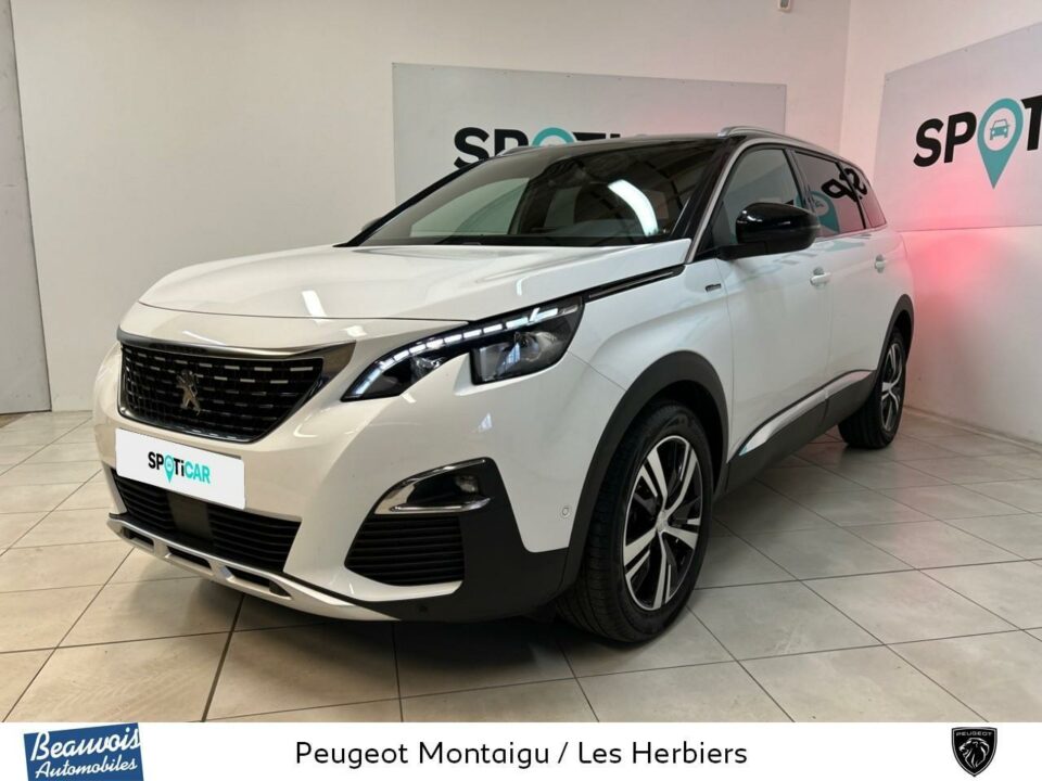 PEUGEOT5008VO0215122438.jpg