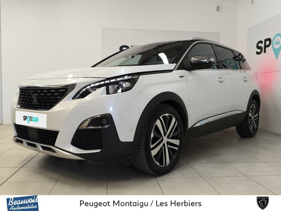 PEUGEOT5008VO0216884107.jpg