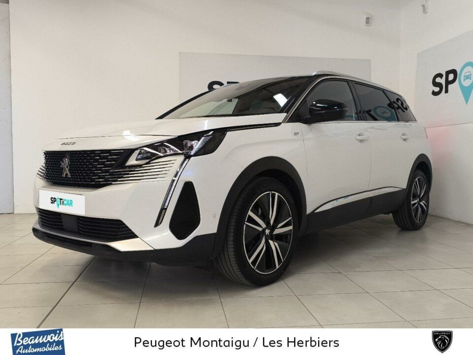 PEUGEOT5008VO0217213409.jpg