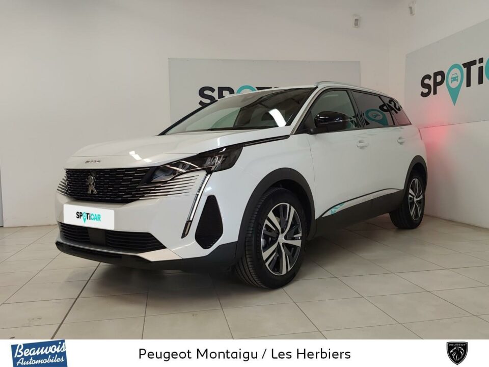 PEUGEOT5008VO0220703652.jpg