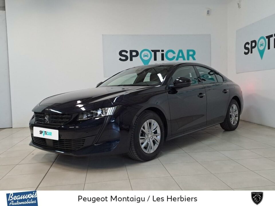 PEUGEOT508VO0220013645.jpg