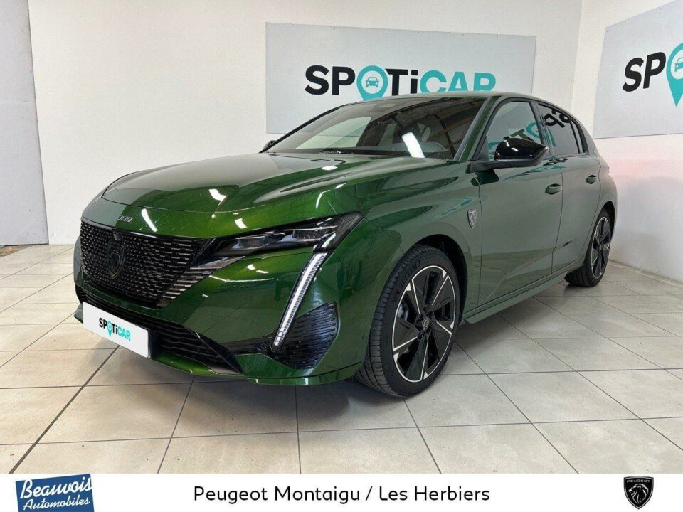 PEUGEOTE 308VO0212611514.jpg