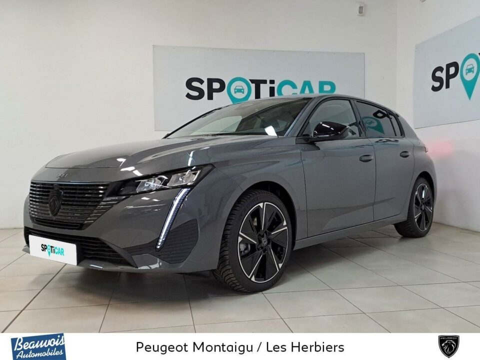 PEUGEOTE 308VO0221093894.jpg