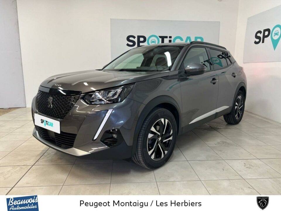 PEUGEOTNOUVEAU 2008VO020900704.jpg