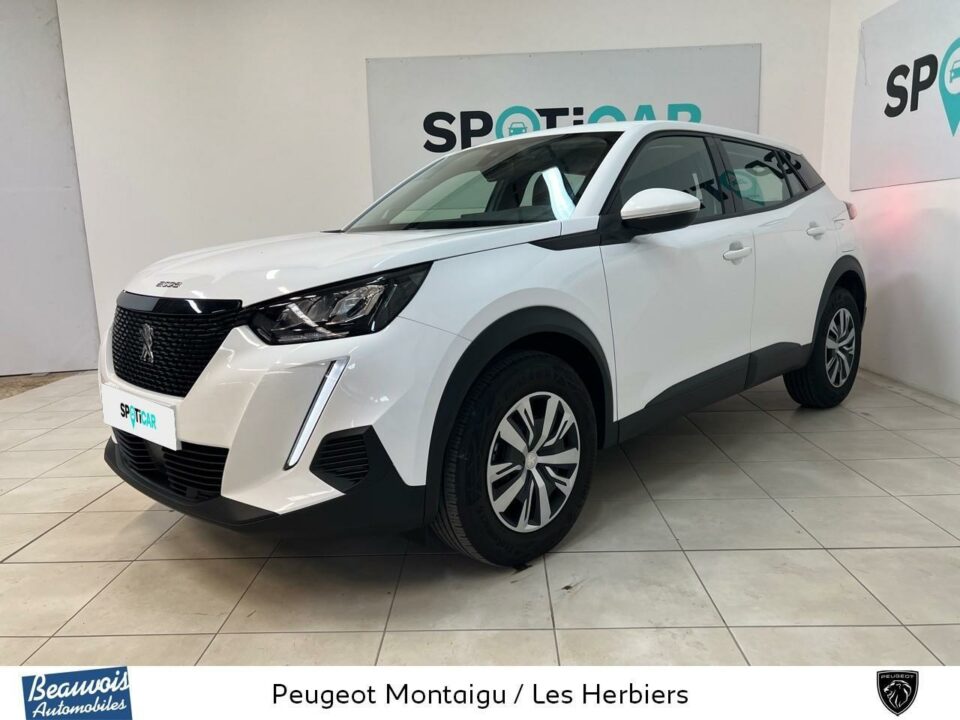 PEUGEOTNOUVEAU 2008VO021018990.jpg