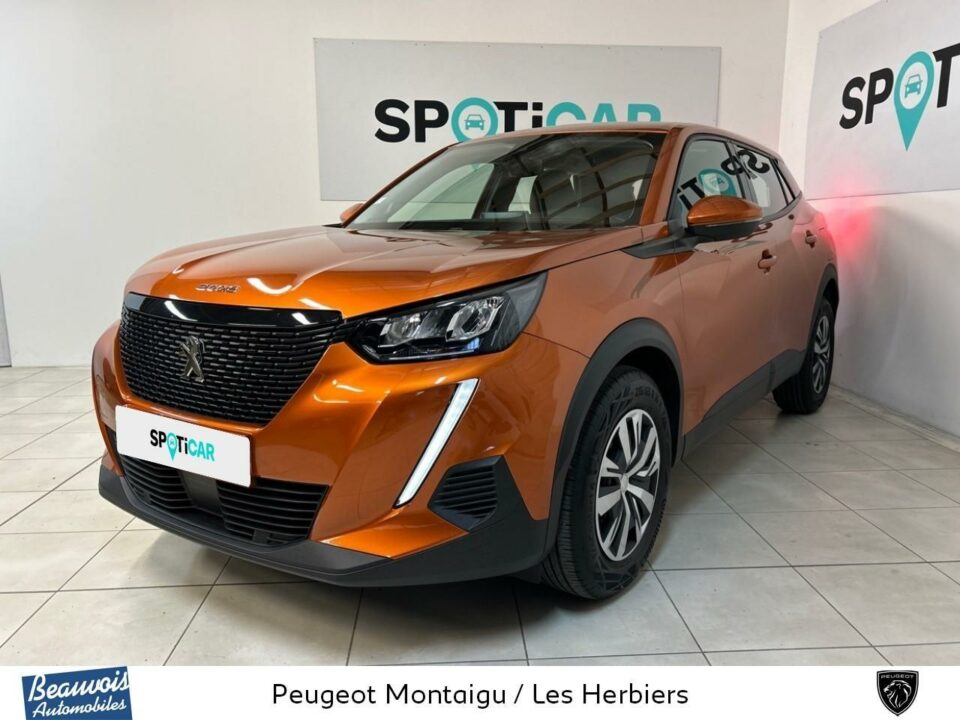 PEUGEOTNOUVEAU 2008VO0214151854.jpg