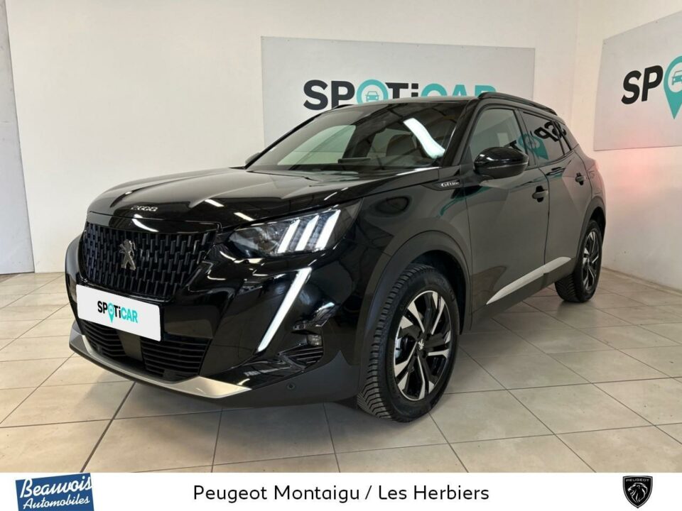 PEUGEOTNOUVEAU 2008VO0216092839.jpg