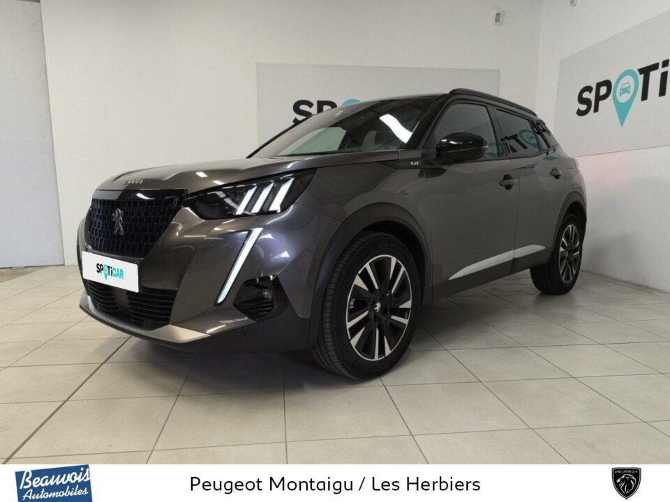 PEUGEOTNOUVEAU 2008VO0216504291.jpg