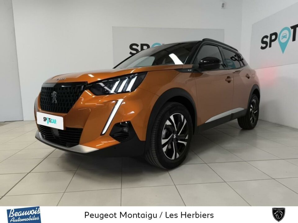 PEUGEOTNOUVEAU 2008VO0216724392.jpg