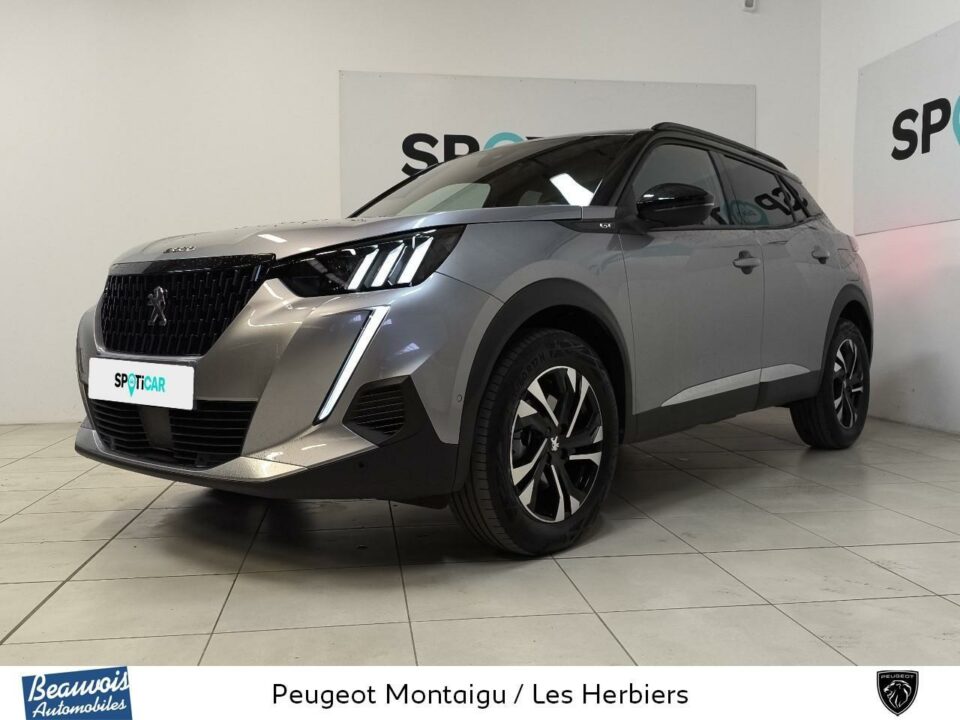 PEUGEOTNOUVEAU 2008VO0216854259.jpg