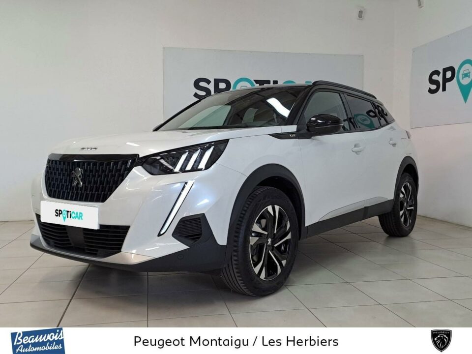 PEUGEOTNOUVEAU 2008VO0217843536.jpg