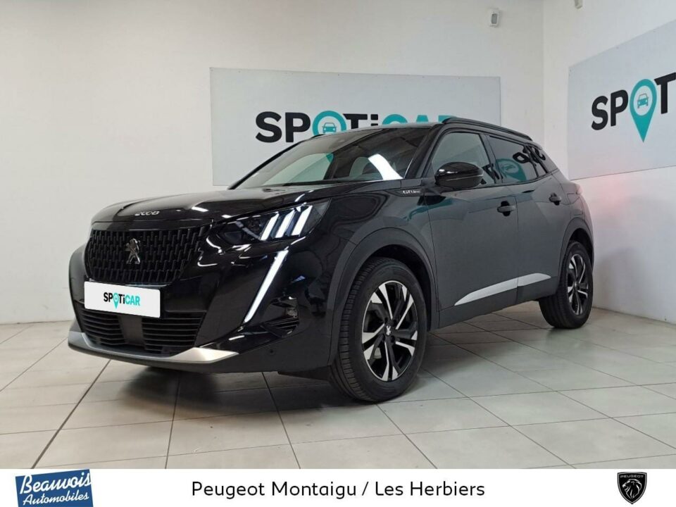 PEUGEOTNOUVEAU 2008VO0217943572.jpg