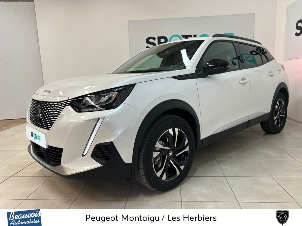 PEUGEOTNOUVEAU E 2008VO0210511100.jpg