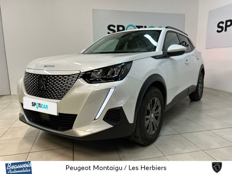 PEUGEOTNOUVEAU E 2008VO0214642071.jpg