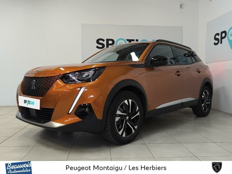 PEUGEOTNOUVEAU E 2008VO0217264048.jpg