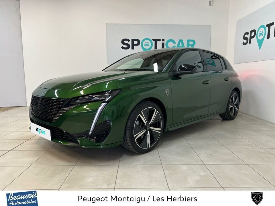 PEUGEOTNOUVELLE 308VO0210211026.jpg