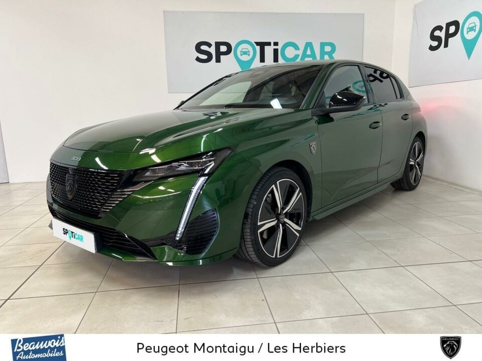 PEUGEOTNOUVELLE 308VO0210401082.jpg